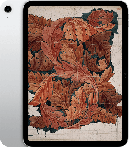 iPad 11