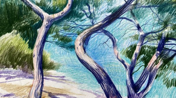 Цветные карандаши. Основы рисования