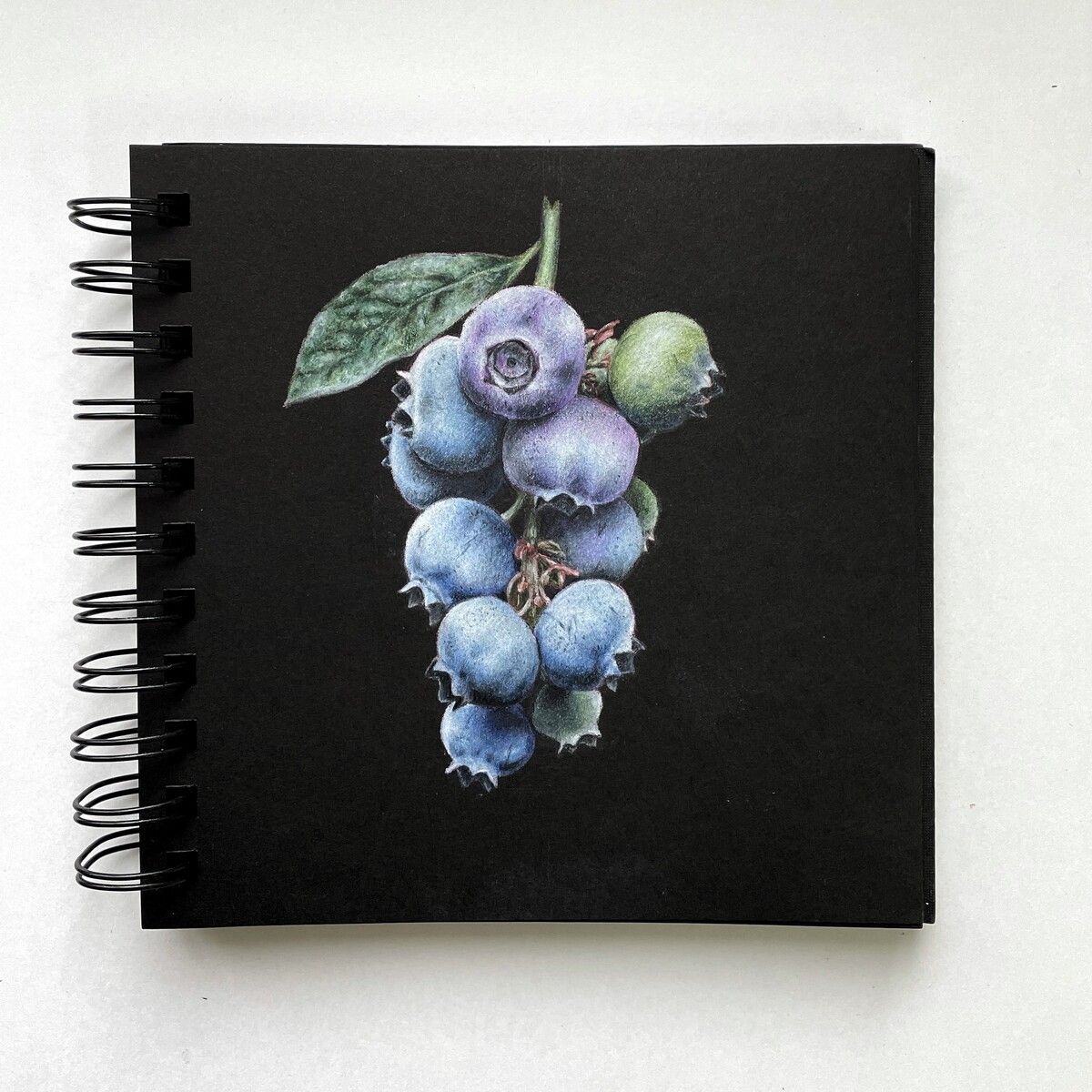 Ботаническая иллюстрация. Карандаши (2021)