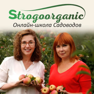 Онлайн-школа садоводов Strogoorganic