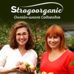 Strogoorganic