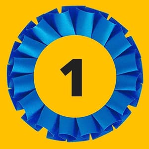 DogWinner — школа для владельцев собак