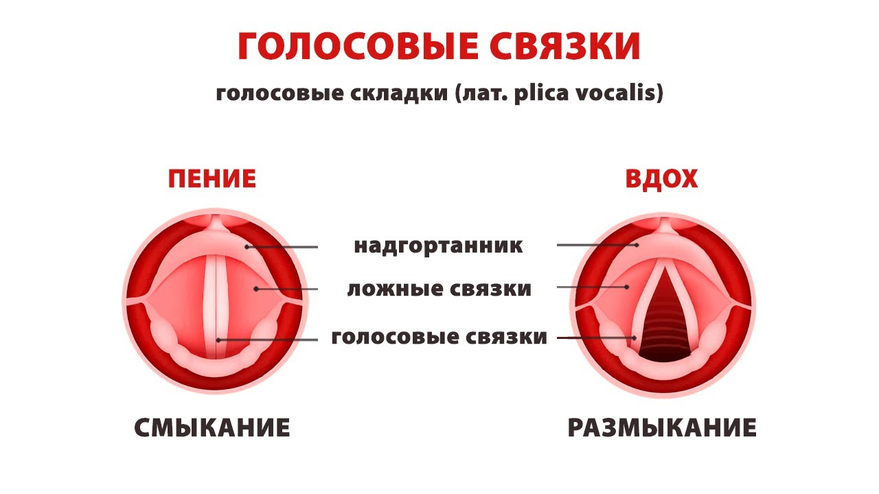Типы смыкания