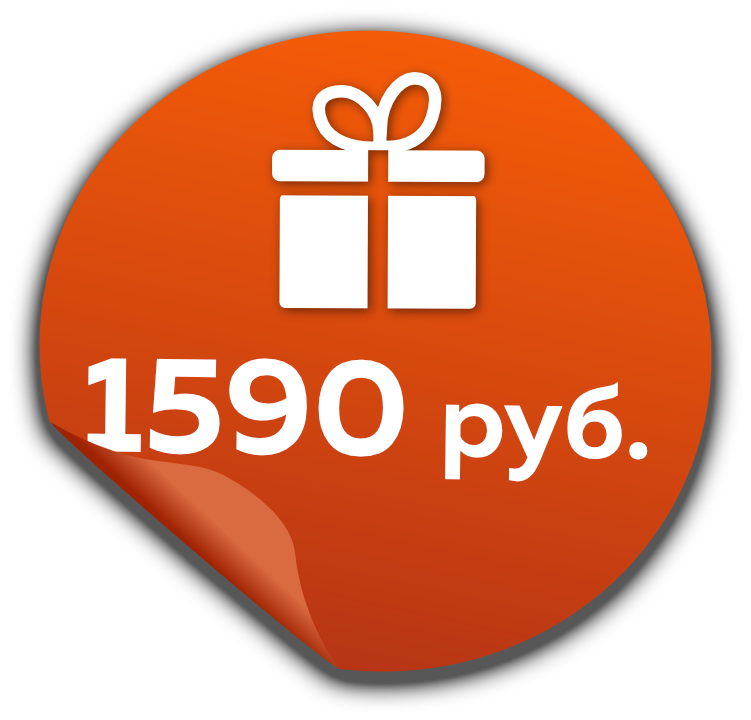 1590 руб.
