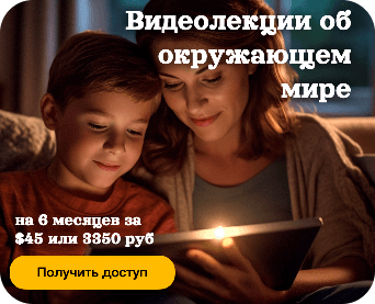 Видеолекции об окружающем мире для детей 5+ «Детский лекторий А. Толмачёва»