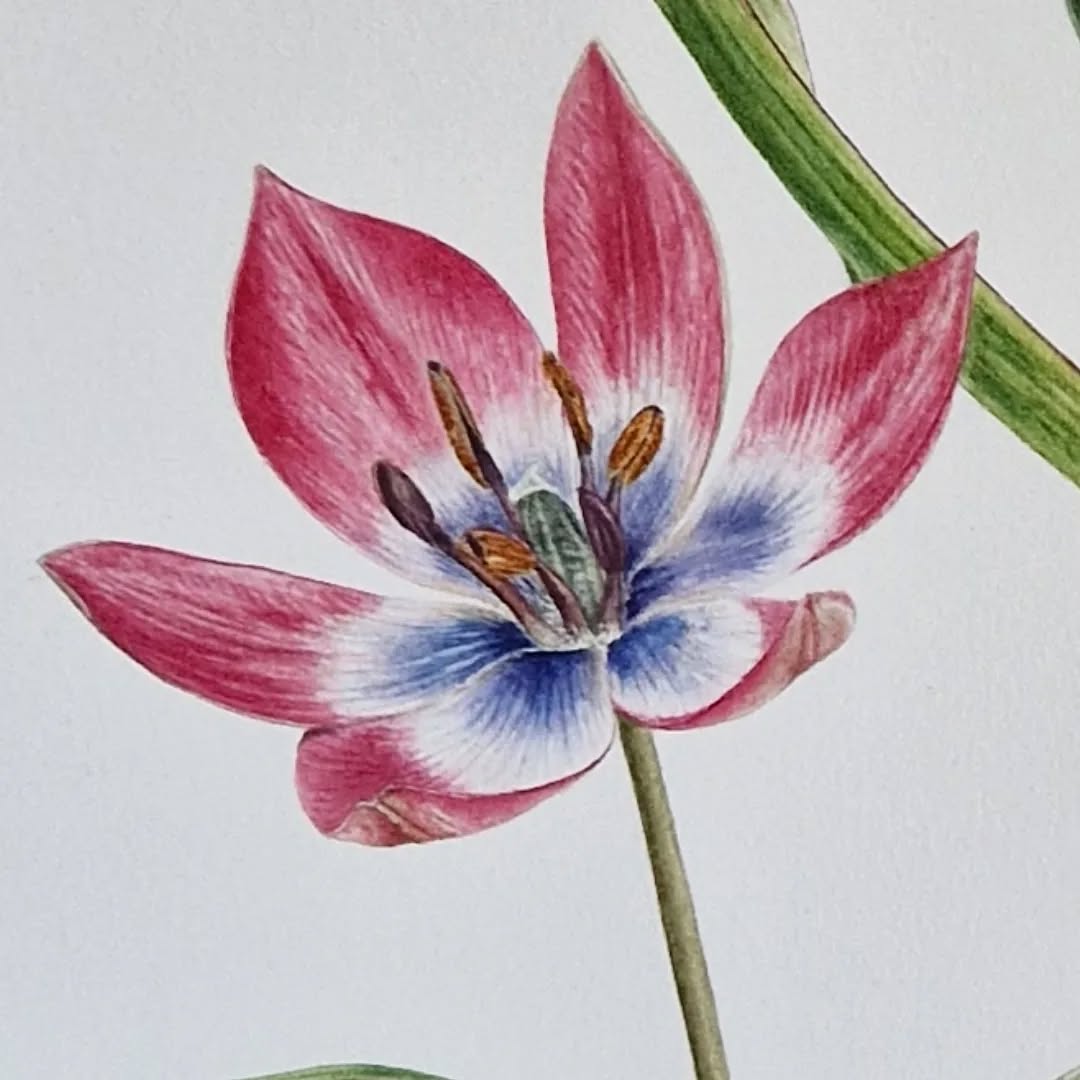 Artwork 3