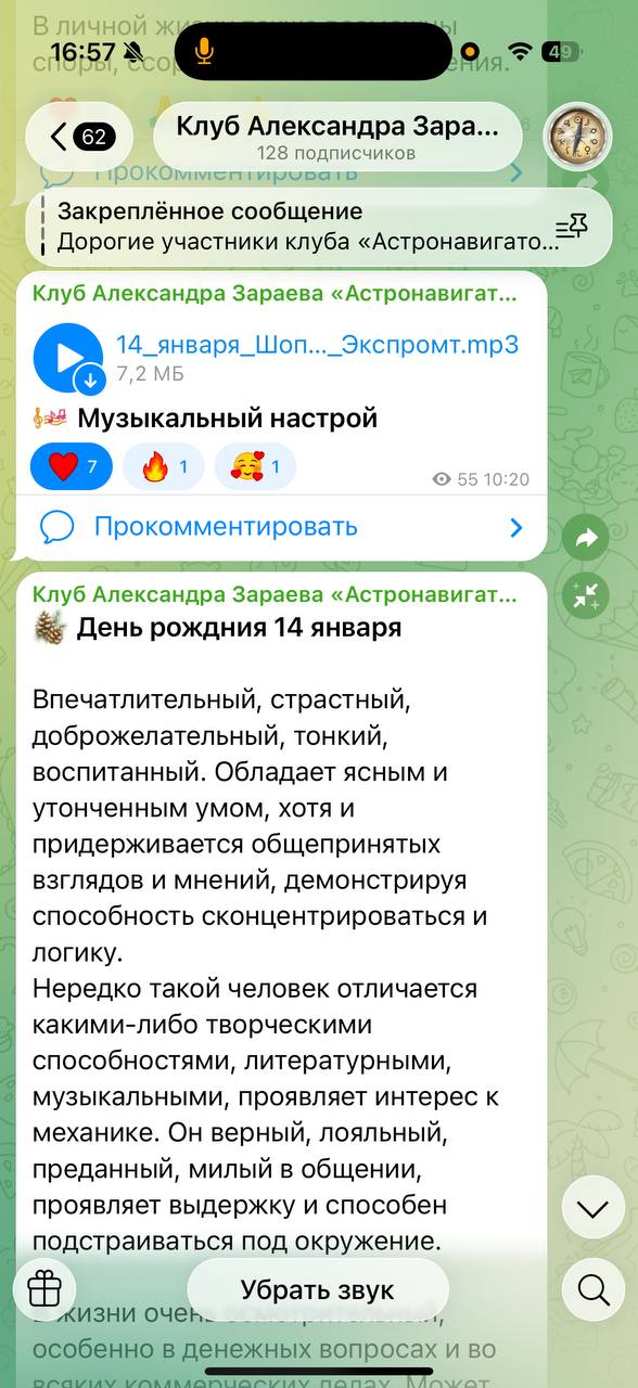 Скрин Telegram 8
