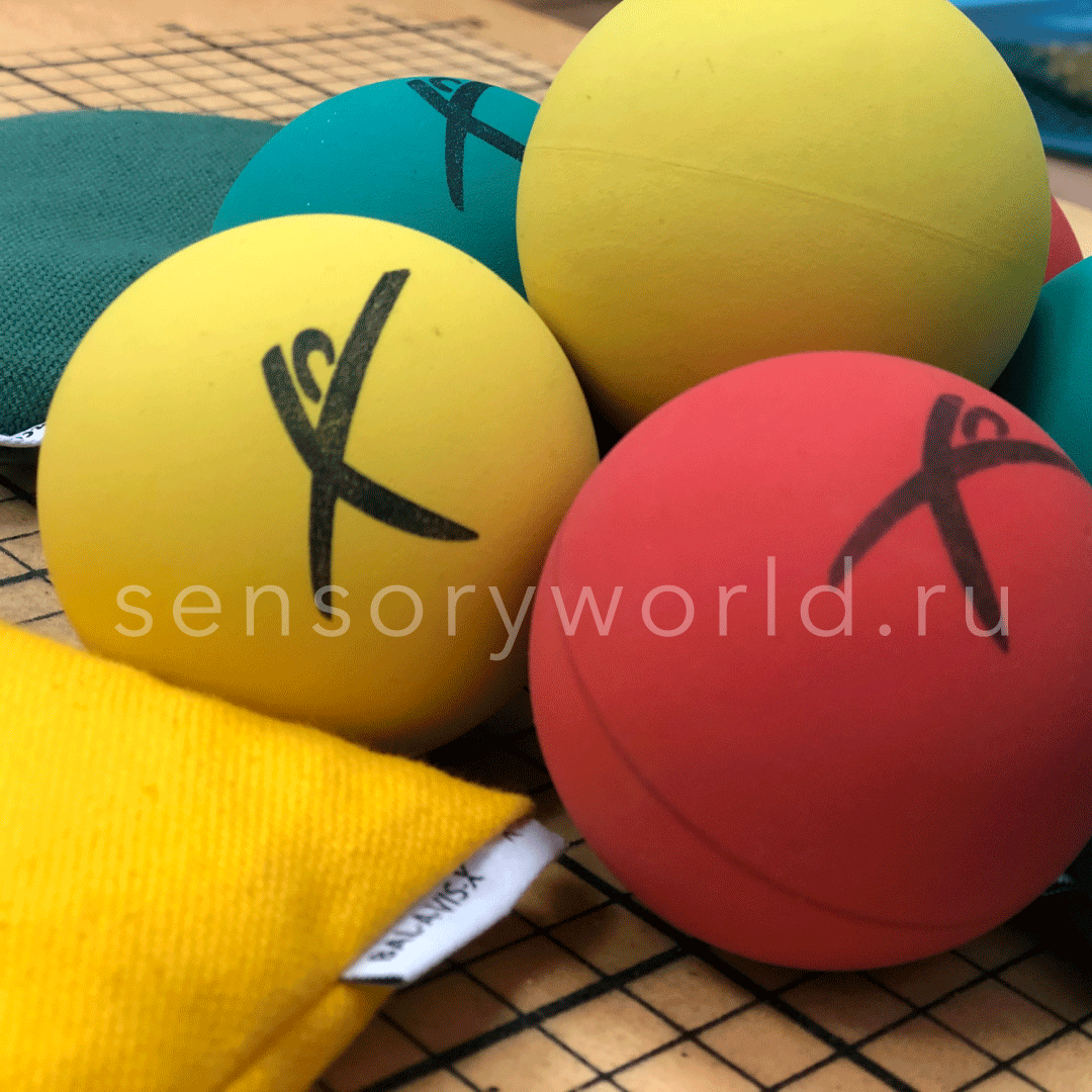 Практический тренинг по Баламетрикс и Bal-A-Vis-X