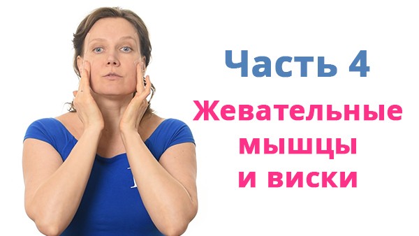 4. Жевательные мышцы и виски