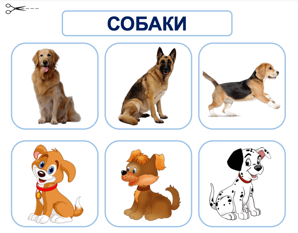 Пример материала