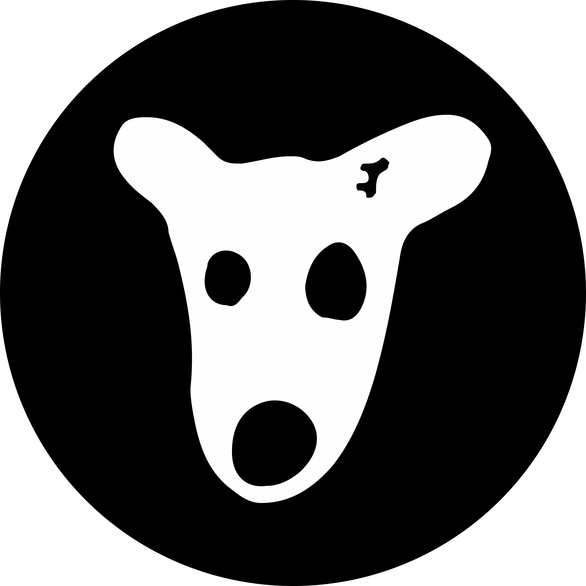 tonkoin