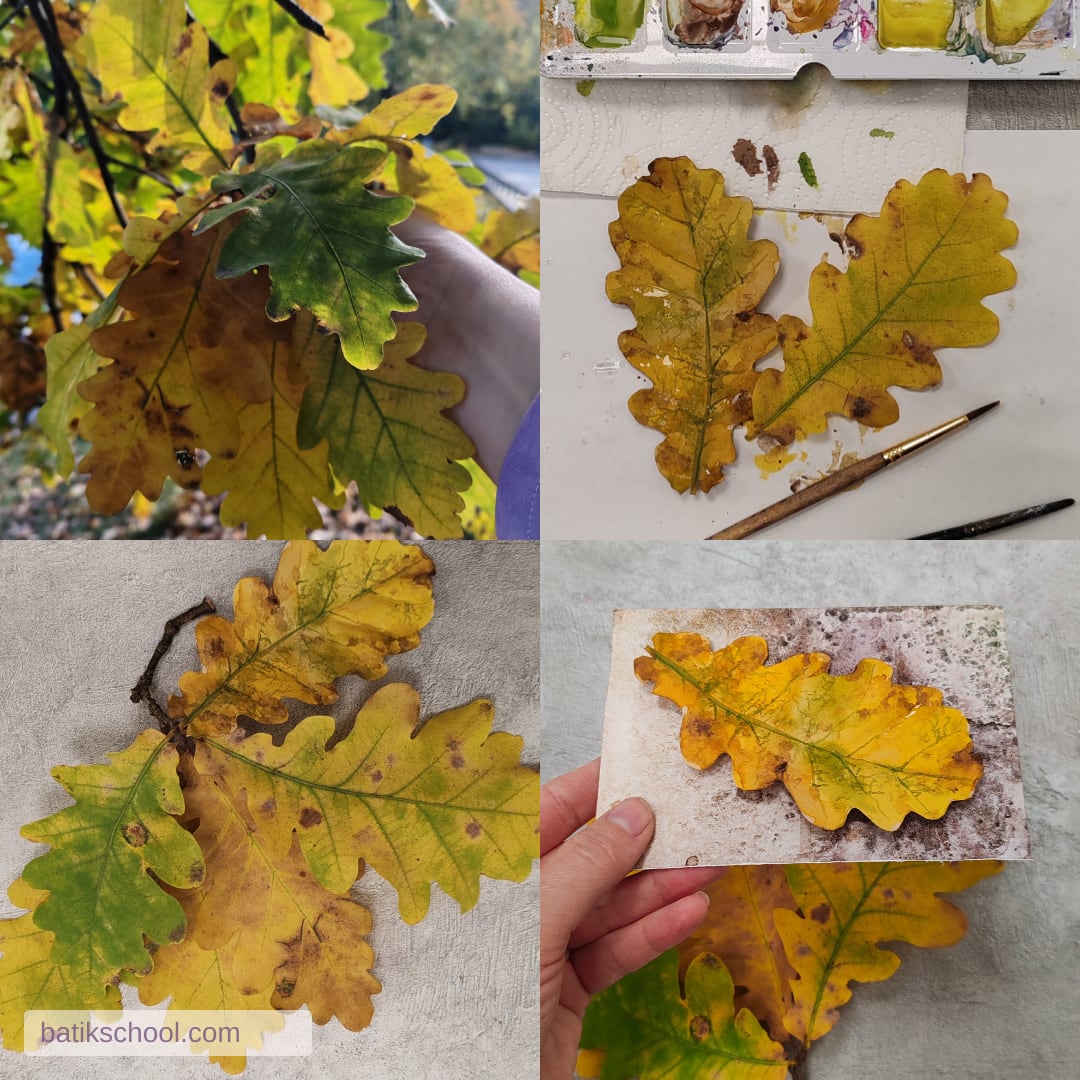 Фотография из статьи