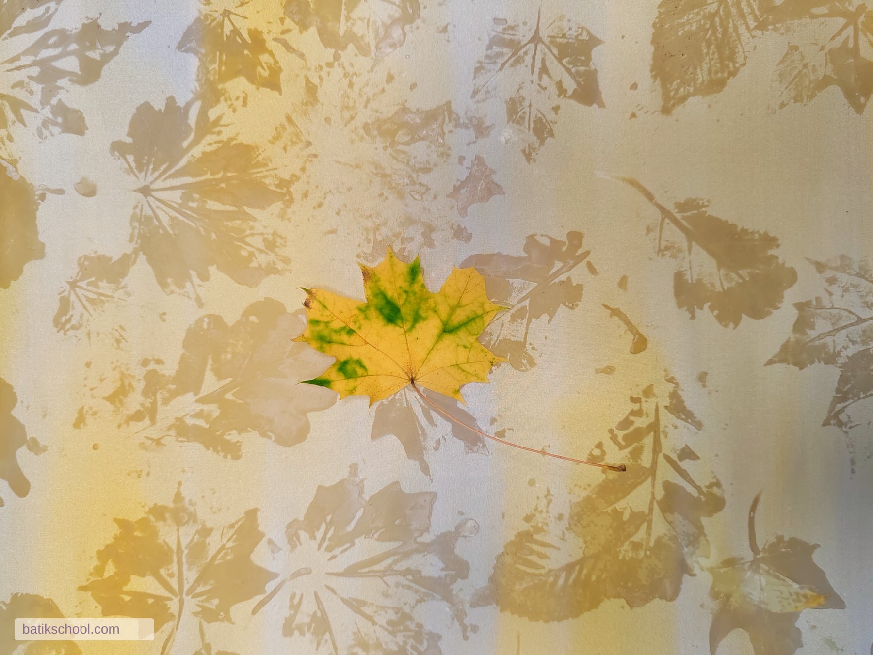 Фотография из статьи