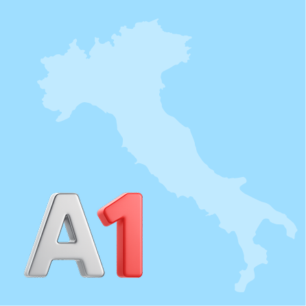 A1