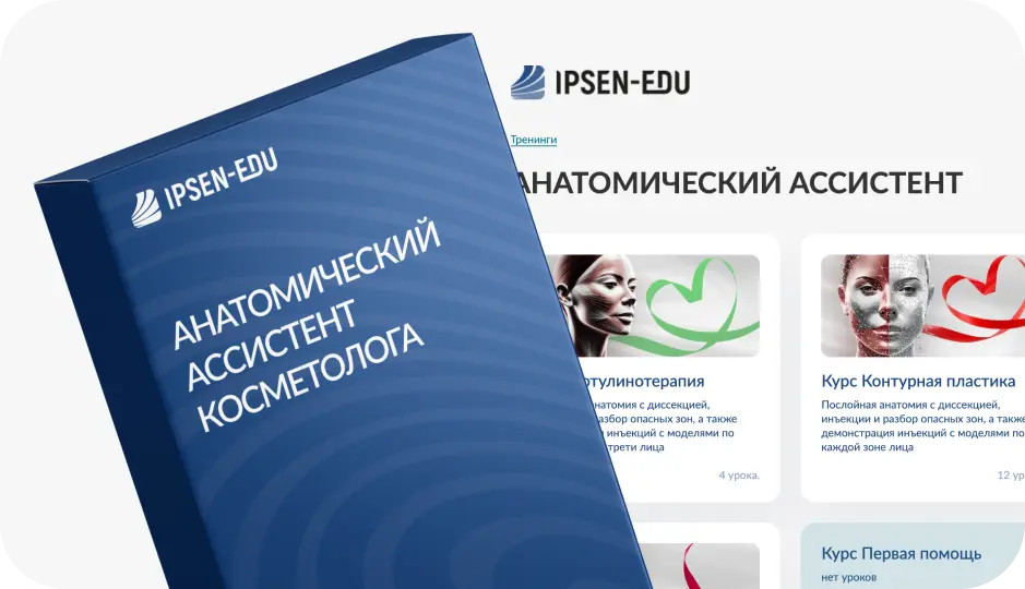 анатомический ассистент косметолога