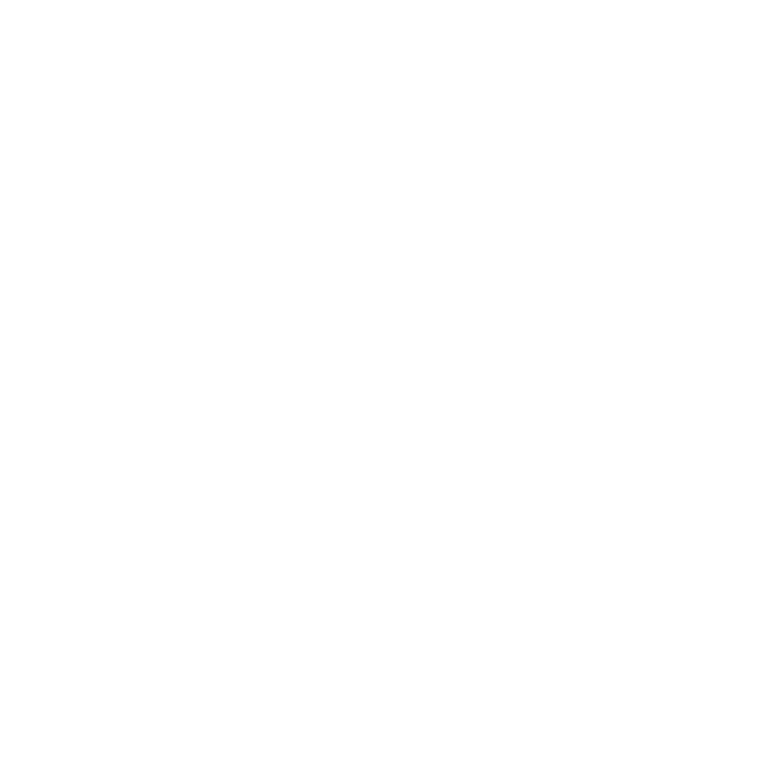 Логотип VILANDABOOM