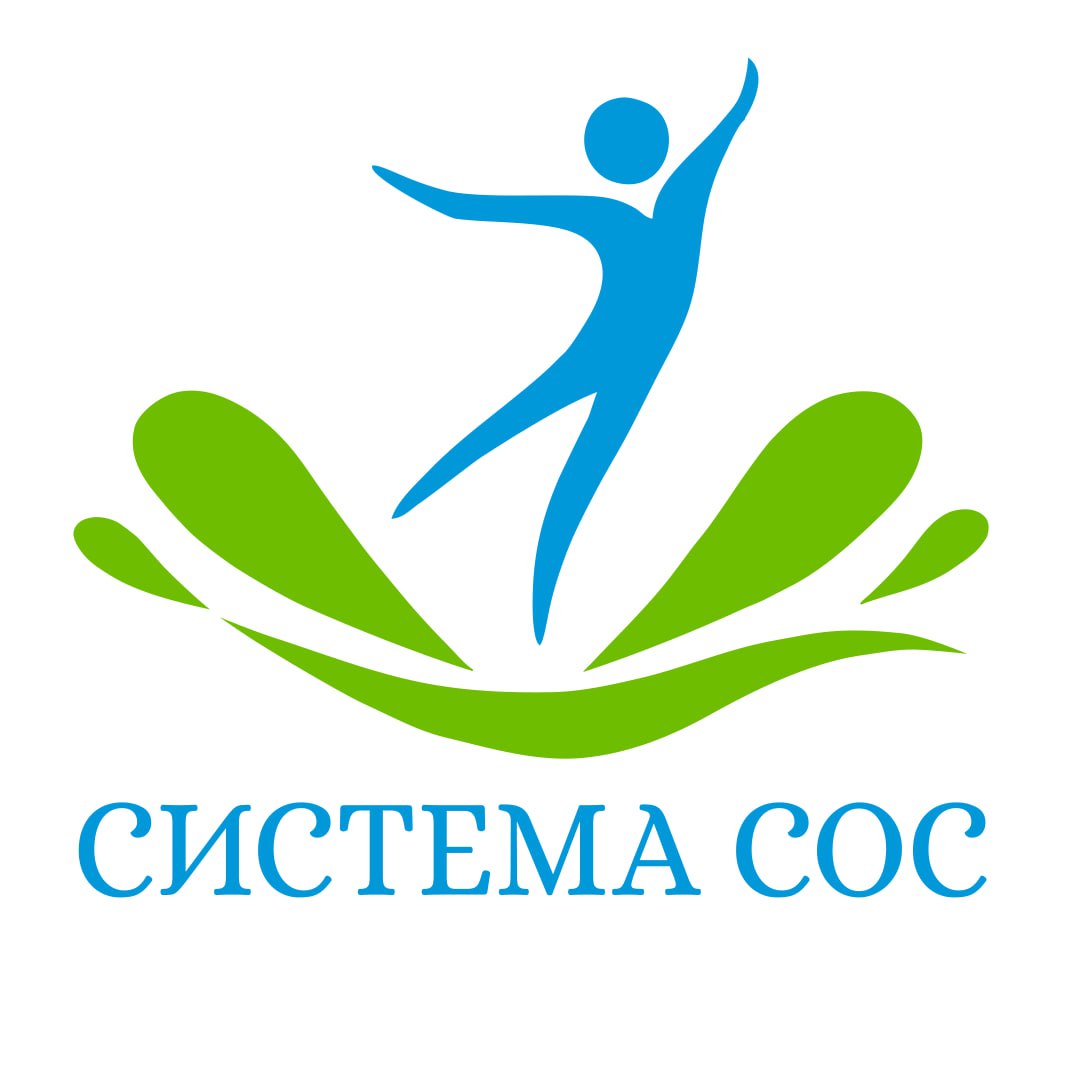 Логотип Системы СОС