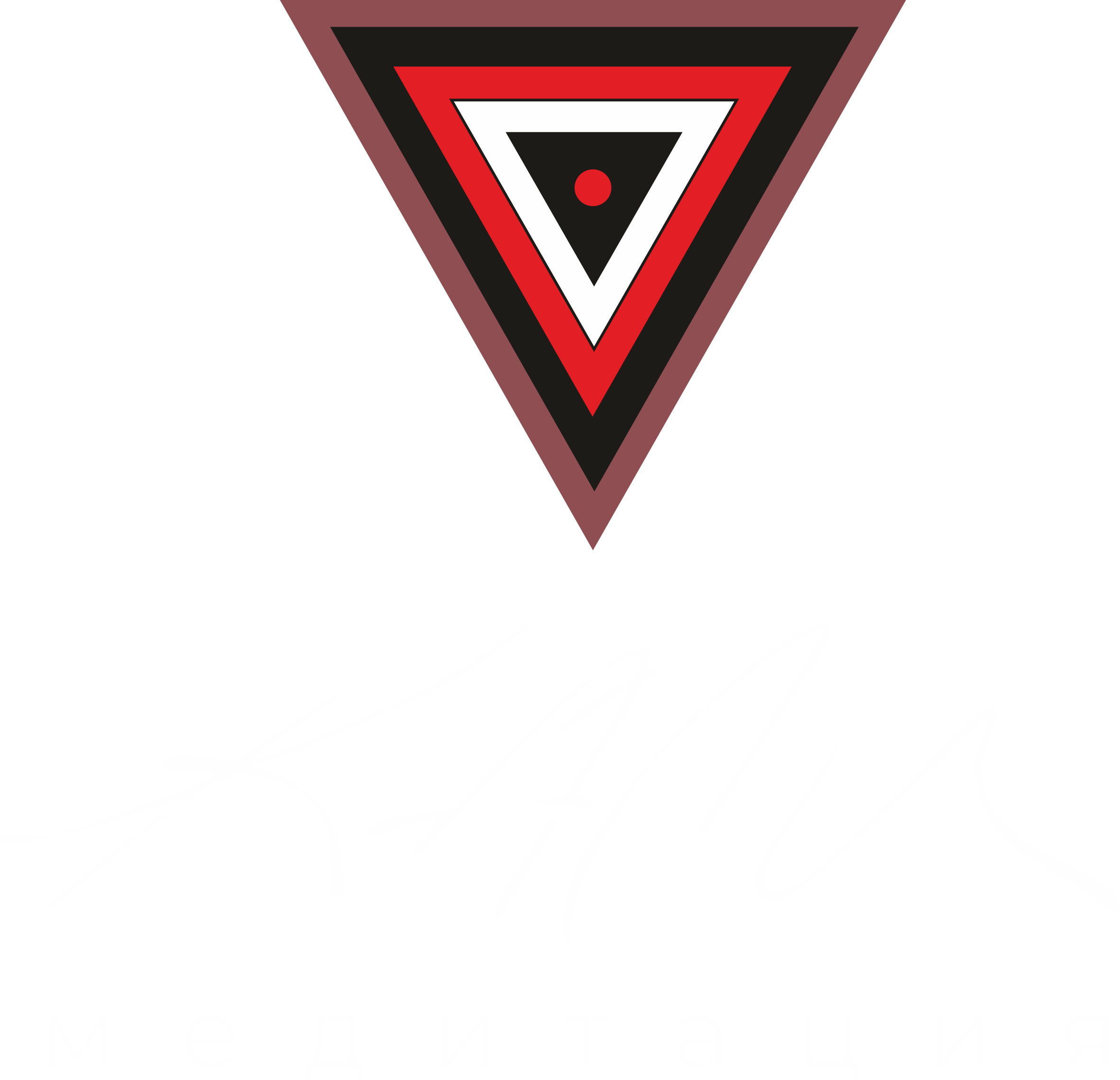 Логотип практики Кали