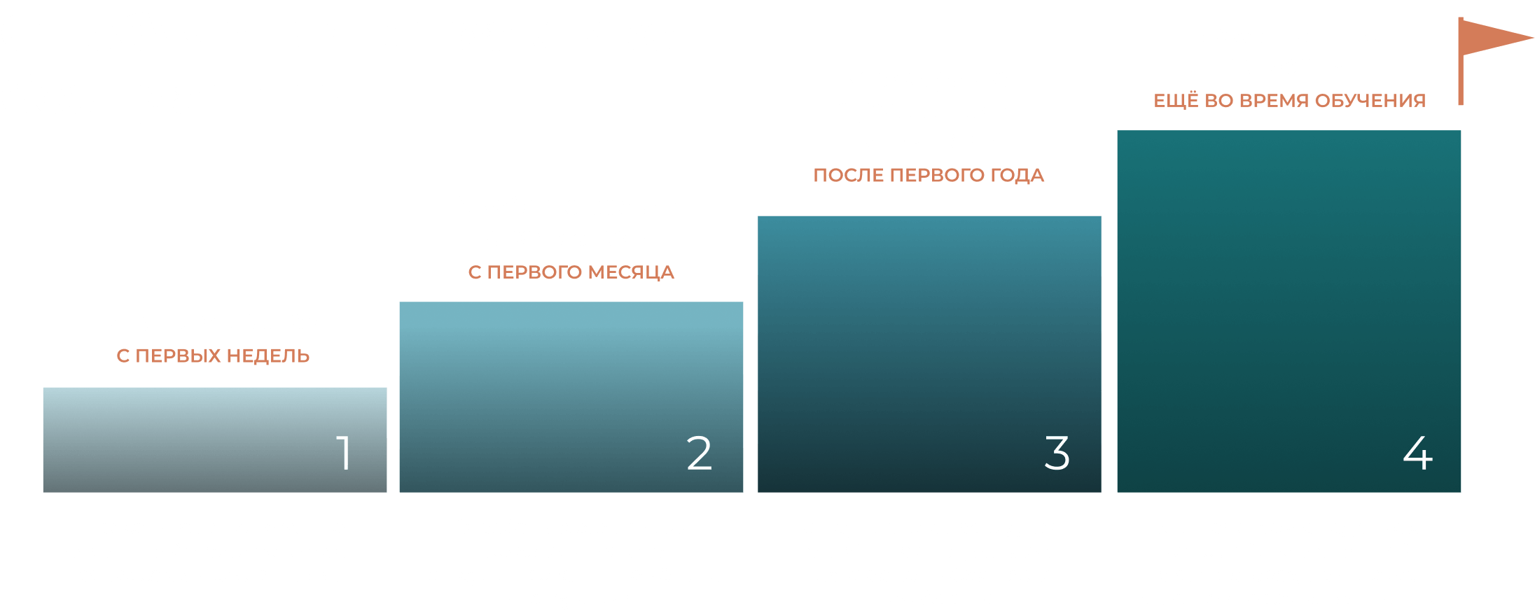От обучения к практике — без границы