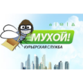 Тилл медикал рус