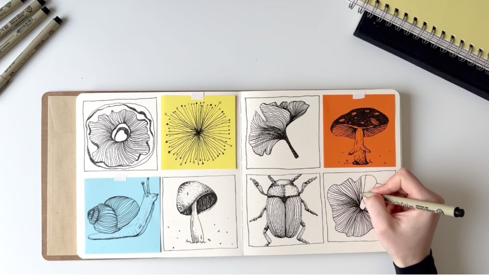 7-Day Calm Sketch Bootcamp preview