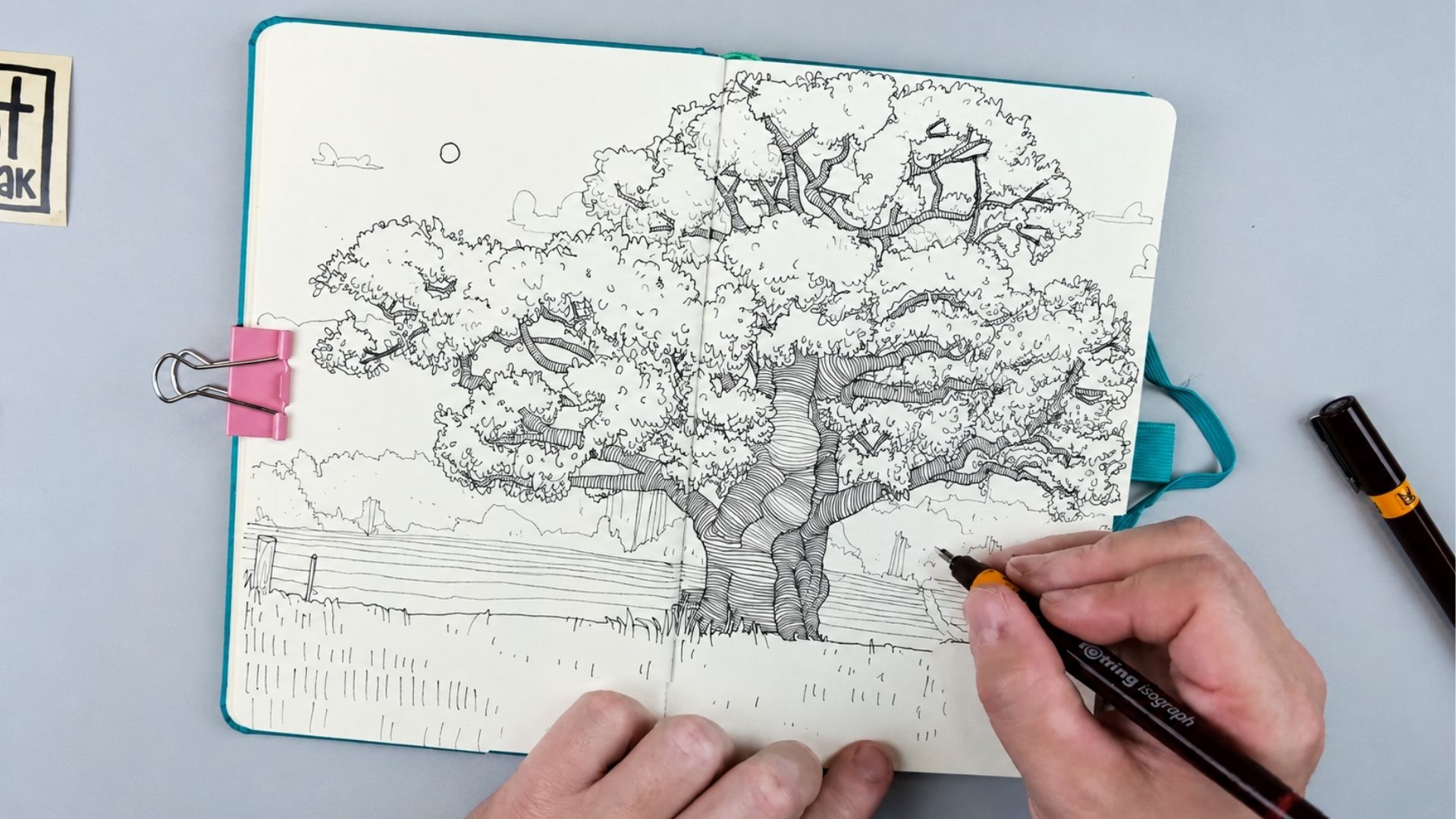 Plant Sketching course preview