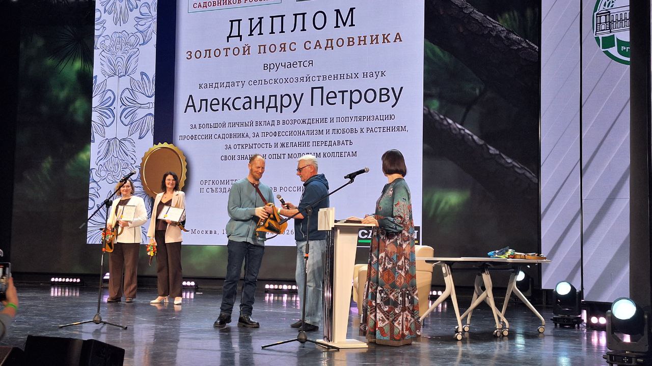 Инструменты на практике