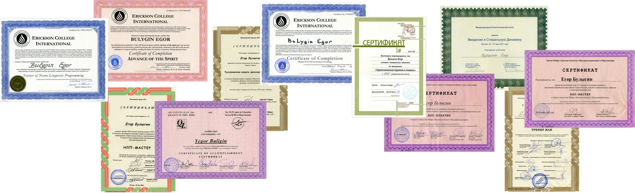 Сертификаты автора Егора Булыгина